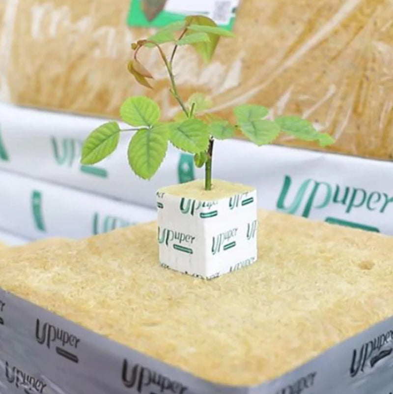 Premium Hydroponic Rockwool Grow Cubes Rapid Plant Growth Root Development Large