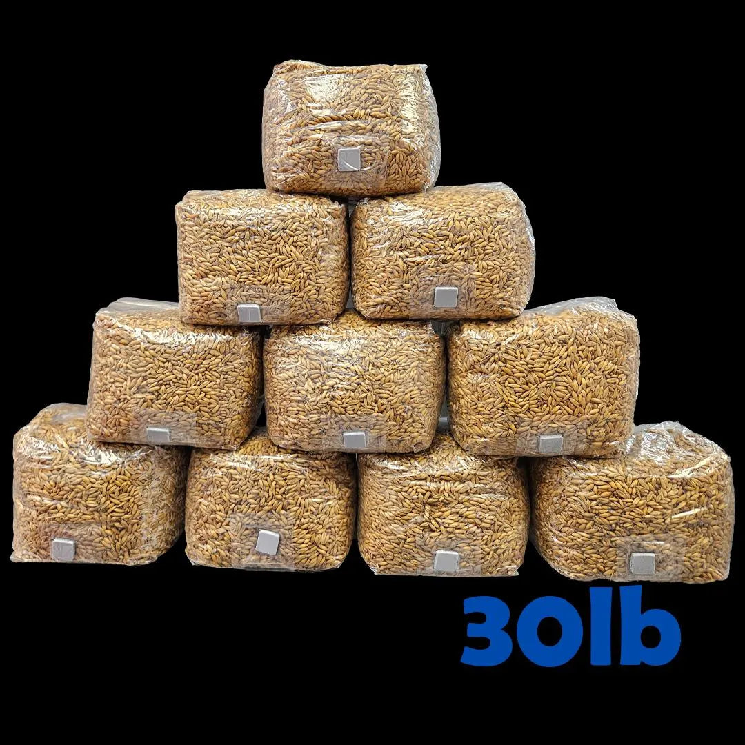 Ten 3lb Sterilized Custom Grain Mix Bags | High Yield Grain for Mushrooms