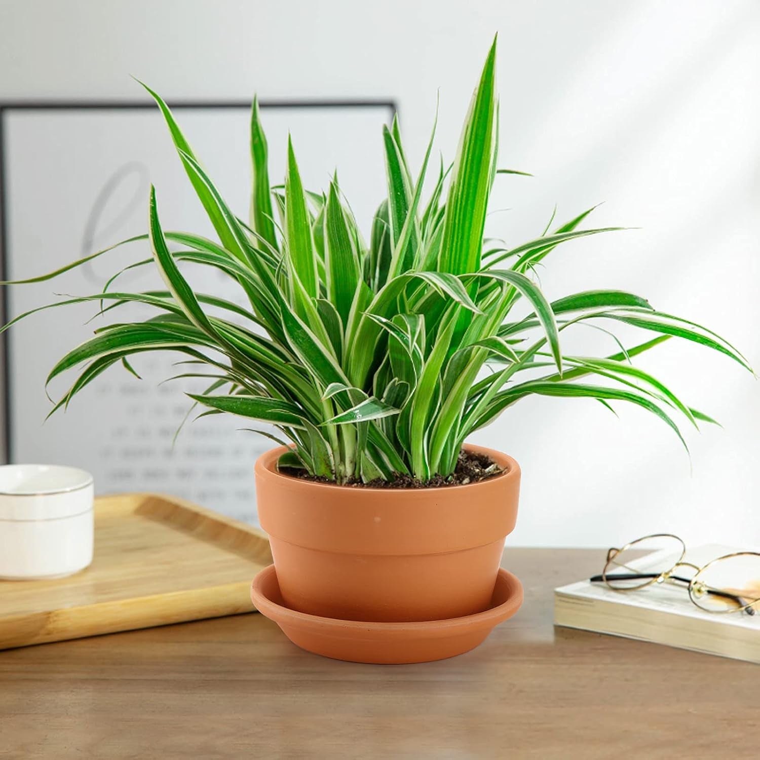 4 Pack Terracotta Pots with Saucer, 6 Inch Large Terra Cotta Plant Pot with Drainage Hole, Clay Flower Planter Pot with Tray for Indoor Outdoor Plant
