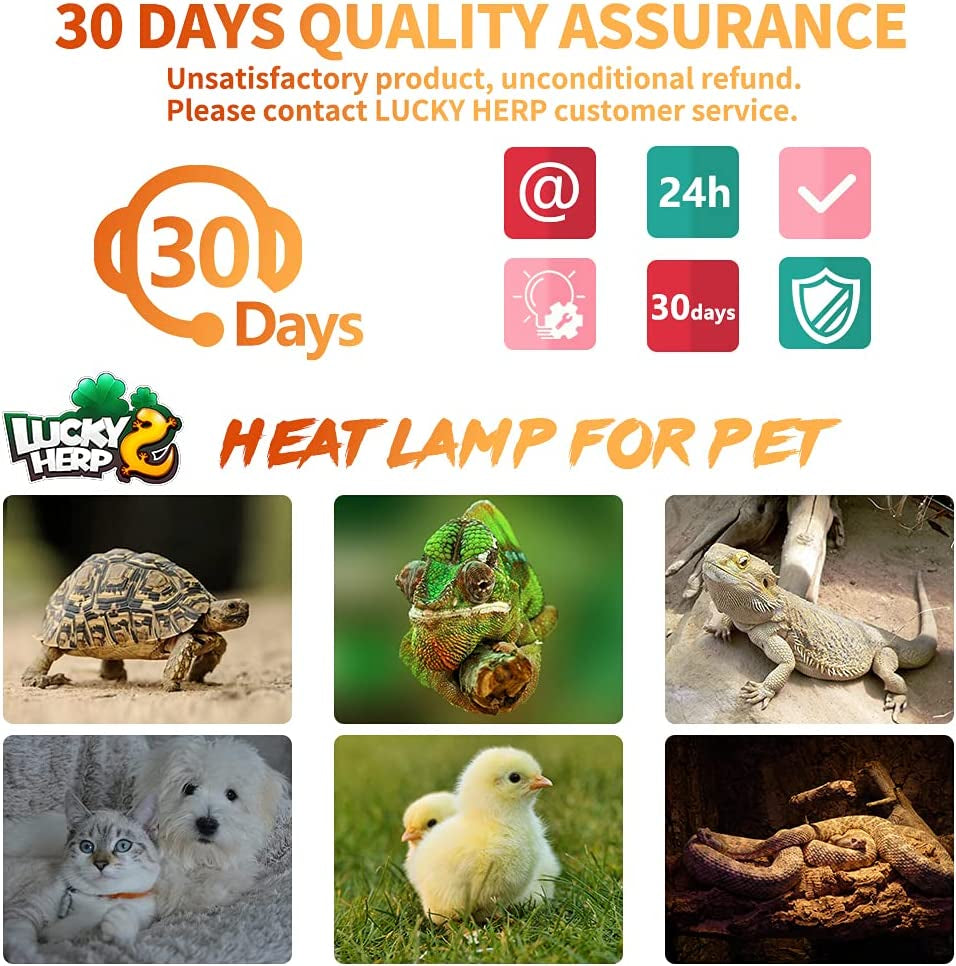 150W Ceramic Heat Emitter, Reptile Heat Bulbs, Ceramic Heat Lamp for Reptiles, Amphibian, Chicken, Dog, Cat (2-Pack)