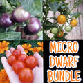 Micro Dwarf Tomato Bundles, 9 Variations, Check Description for Variation Guide.