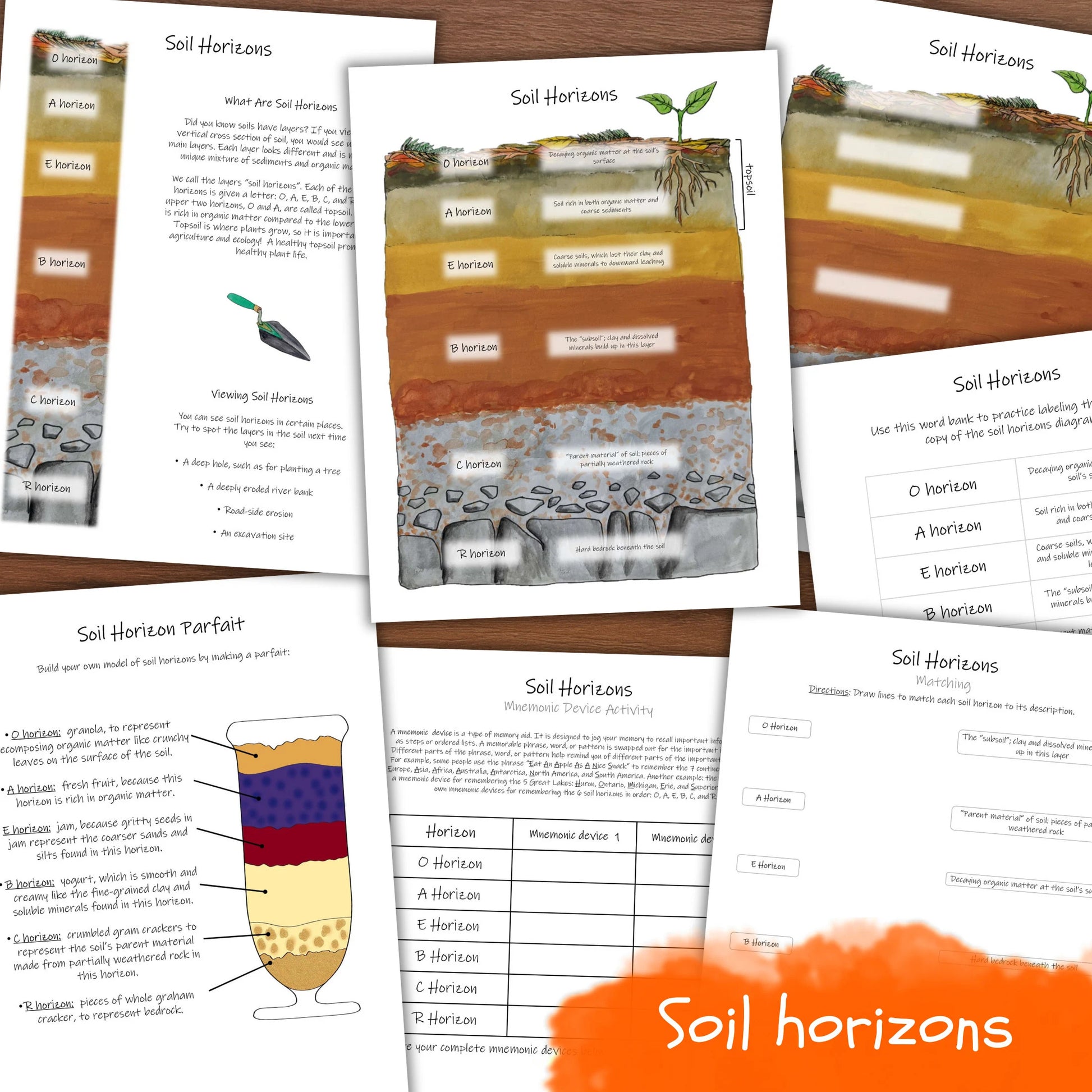 Soil Science Unit: with 5 science lab activities! Study porosity, permeability, soil textures, soil horizons, and more!