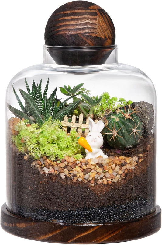 Large Glass Terrarium Succulent Plant Terrarium House for Plant/Moss Ball/Glass Fish Tank Mini Table with Wood Base & Ball lid Office Home Decoration