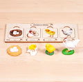 Wooden Life Cycle of a Chicken | Life Cycle Set: Chicken | Chicken Model | Life of a Chicken