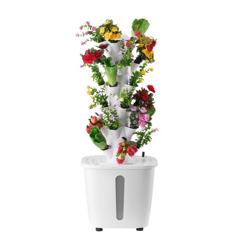 hydroponics plants for sale Hydroponics