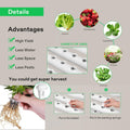 VIVOSUN Hydroponic Site Grow Kit Hydroponics System 36 54 72 90 108 Plant Sites