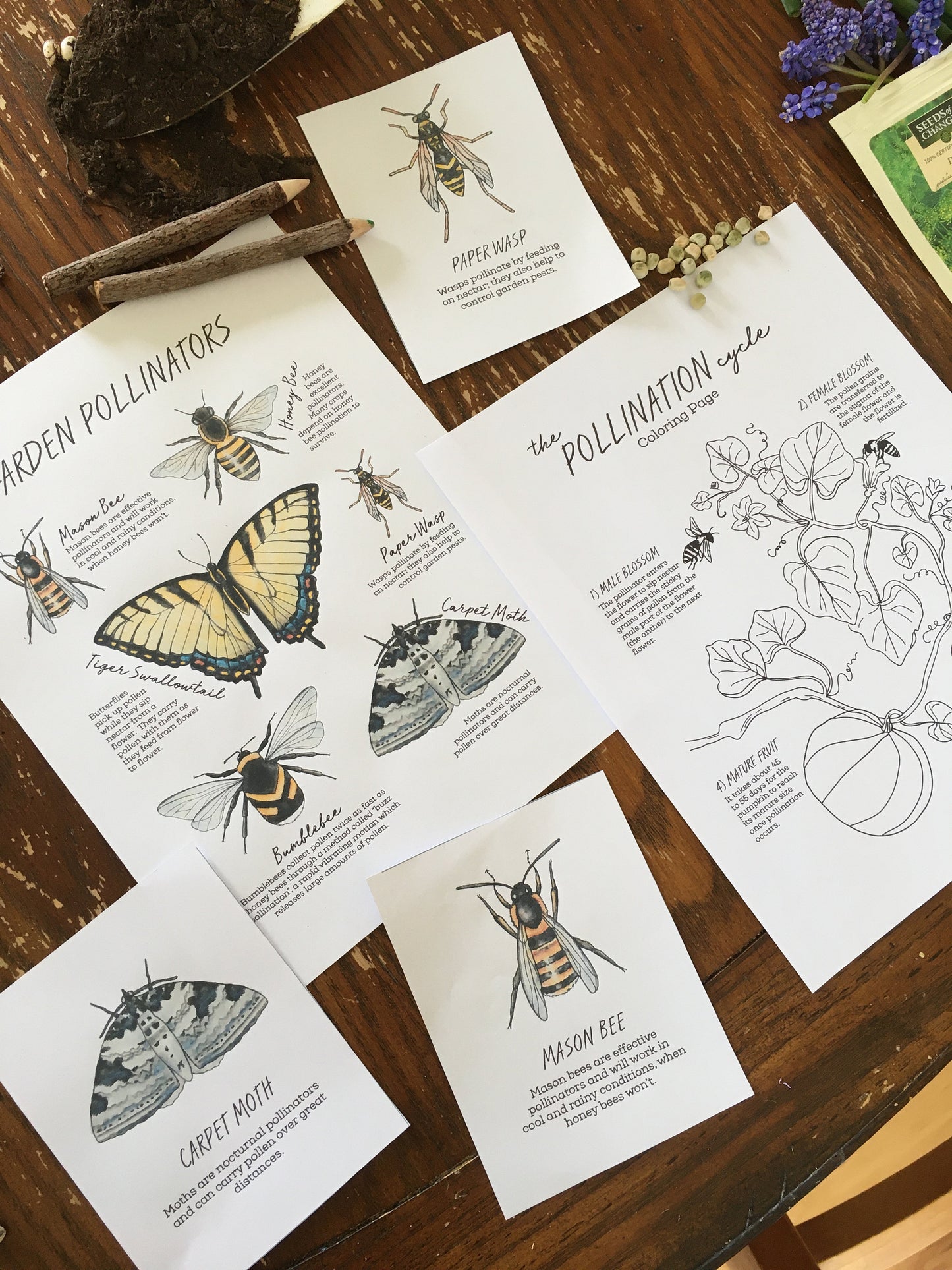 The GARDEN Notebook - Homeschool Printable Nature Study Charlotte Mason