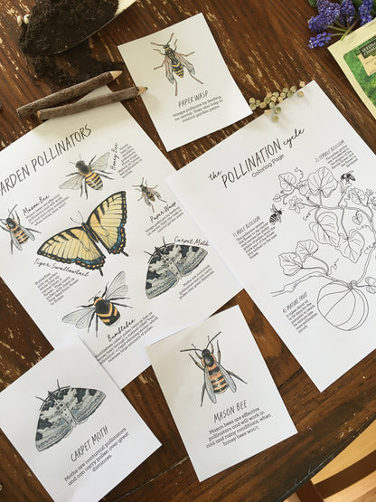 The GARDEN Notebook - Homeschool Printable Nature Study Charlotte Mason