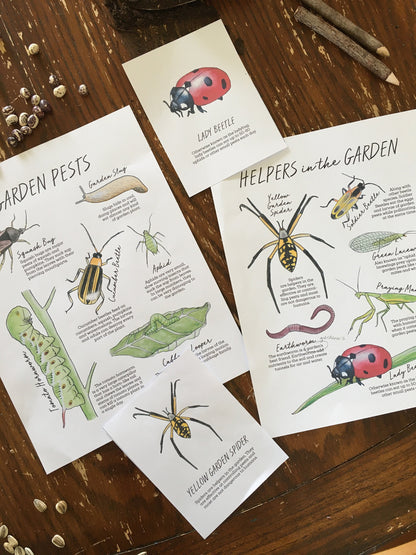 The GARDEN Notebook - Homeschool Printable Nature Study Charlotte Mason
