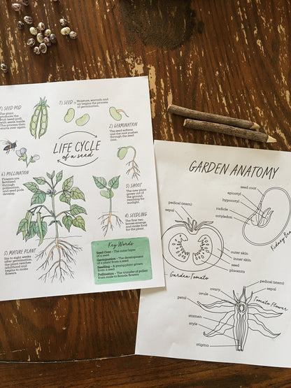 The GARDEN Notebook - Homeschool Printable Nature Study Charlotte Mason