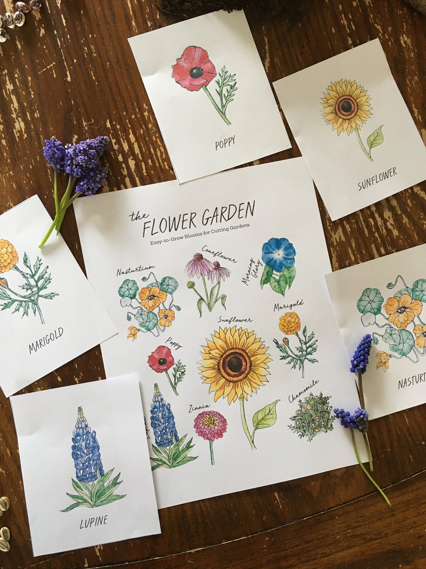 The GARDEN Notebook - Homeschool Printable Nature Study Charlotte Mason