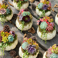 White Chubby Pumpkin Succulent Arrangement: Fall Thanksgiving Centerpiece