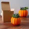 Haworthia Succulent Pumpkin Thanksgiving Hostess Gift Box, Fall Succulent Gift Box, Thanksgiving Giftbox for Plant Lover