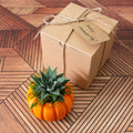 Haworthia Succulent Pumpkin Thanksgiving Hostess Gift Box, Fall Succulent Gift Box, Thanksgiving Giftbox for Plant Lover