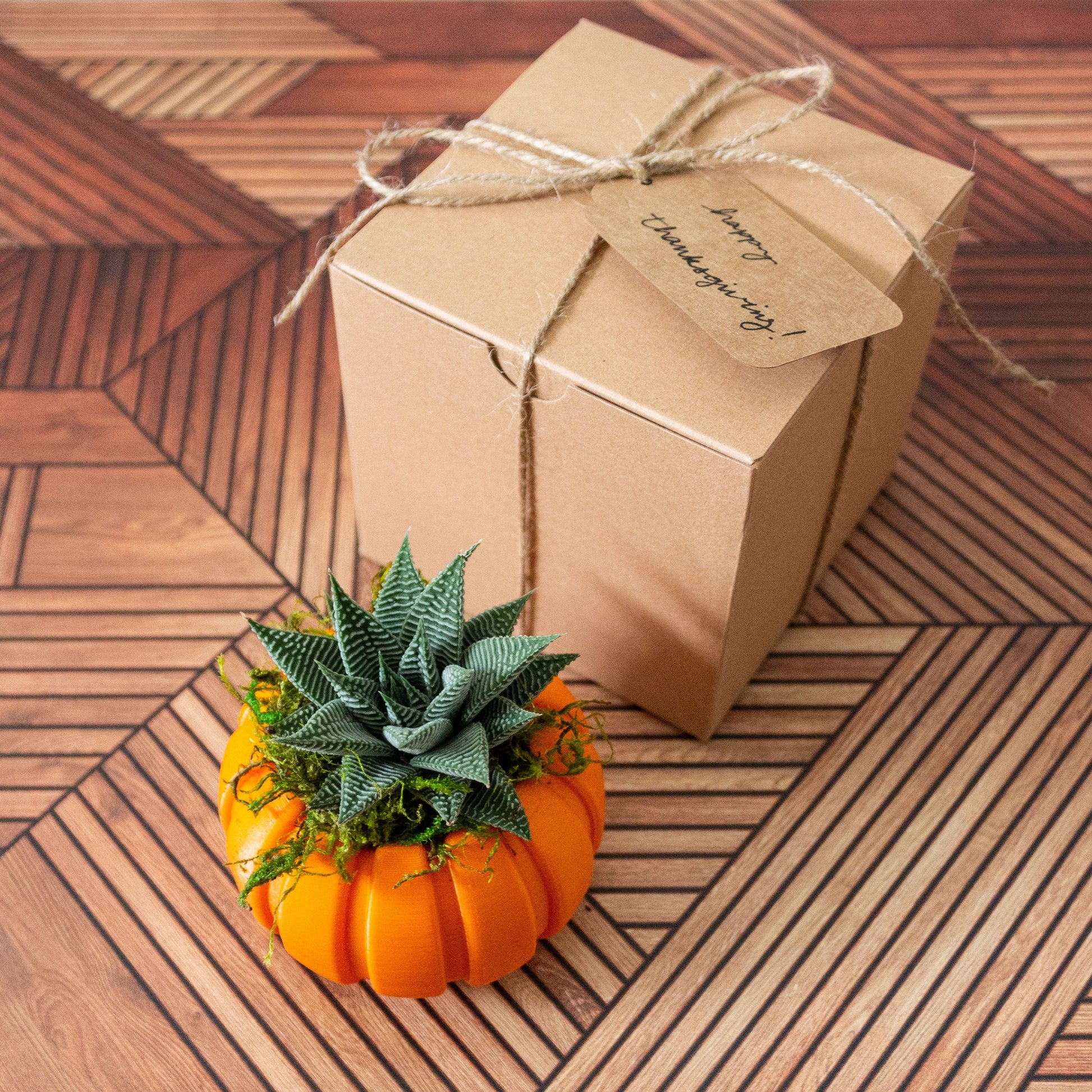 Haworthia Succulent Pumpkin Thanksgiving Hostess Gift Box, Fall Succulent Gift Box, Thanksgiving Giftbox for Plant Lover