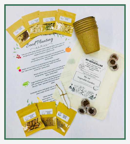 My First Vegetable Garden Kit for Kids, Heirloom Seed Kit, Kids Gardening Craft, Vegetable Seeds
