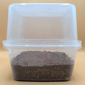 Mushroom Grow Kit: Rye Grain, CVG, Agar, Complete Guide