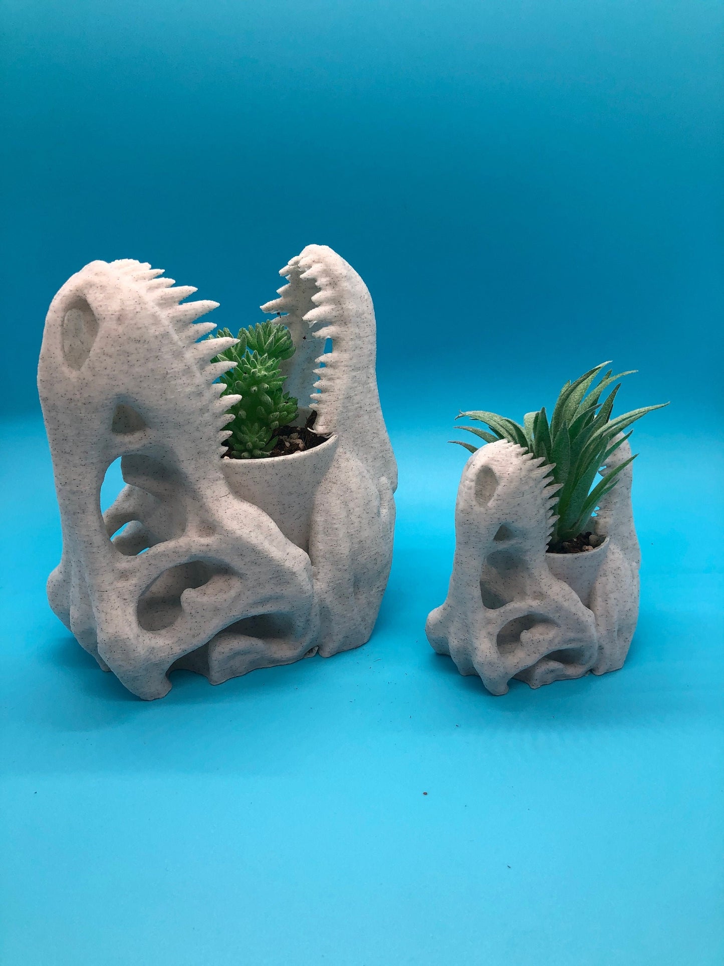 T-Rex Planter, Dinosaur Plant Pot, Dino Skull Planter, Fossil Planter, T-Rex Desk Décor, Dinosaur Skull Pot, Dino Succulent Pot, Dino Pot