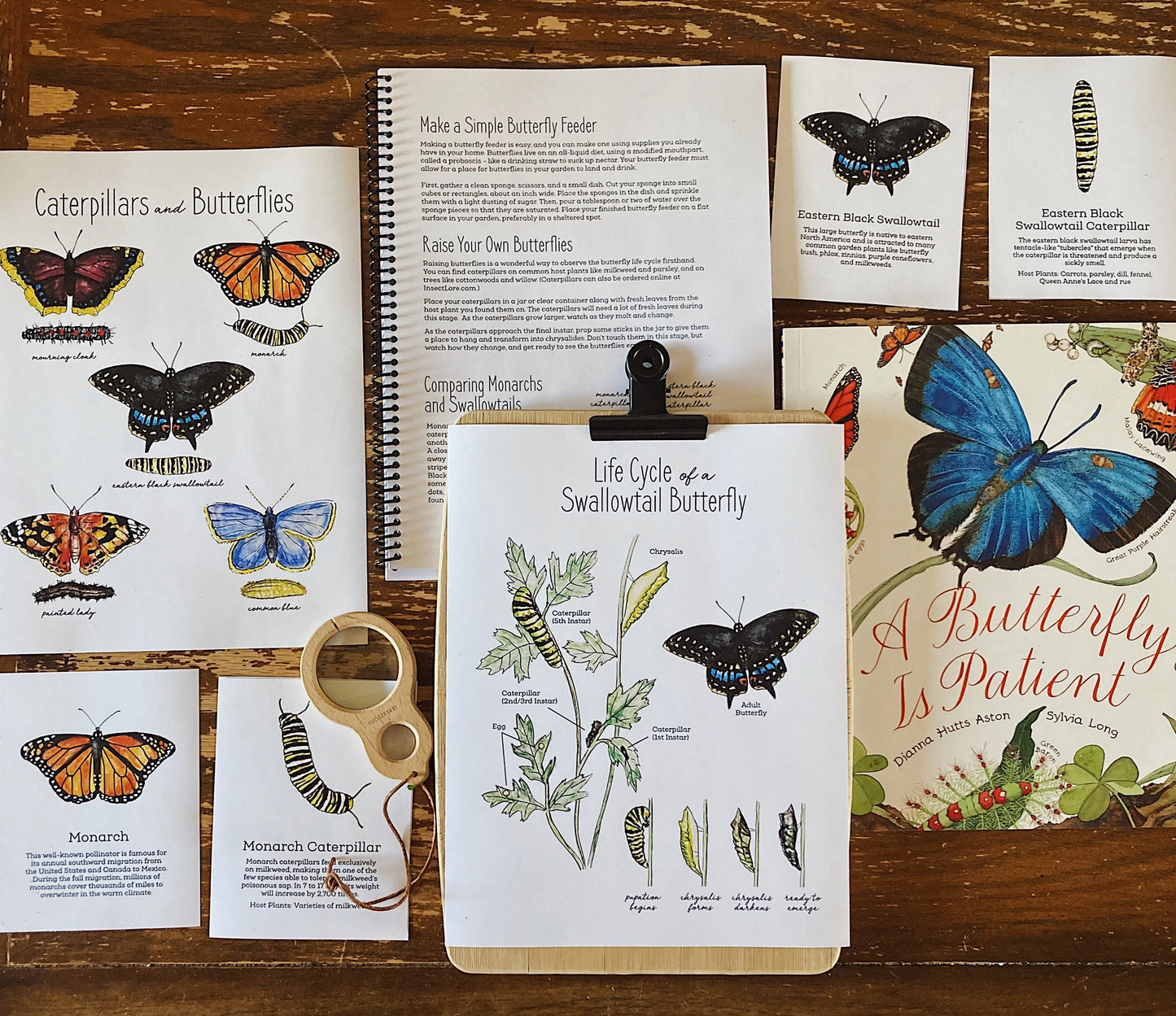 The Seasons – A Year of Nature Journaling - Charlotte Mason Homeschool Nature Printable