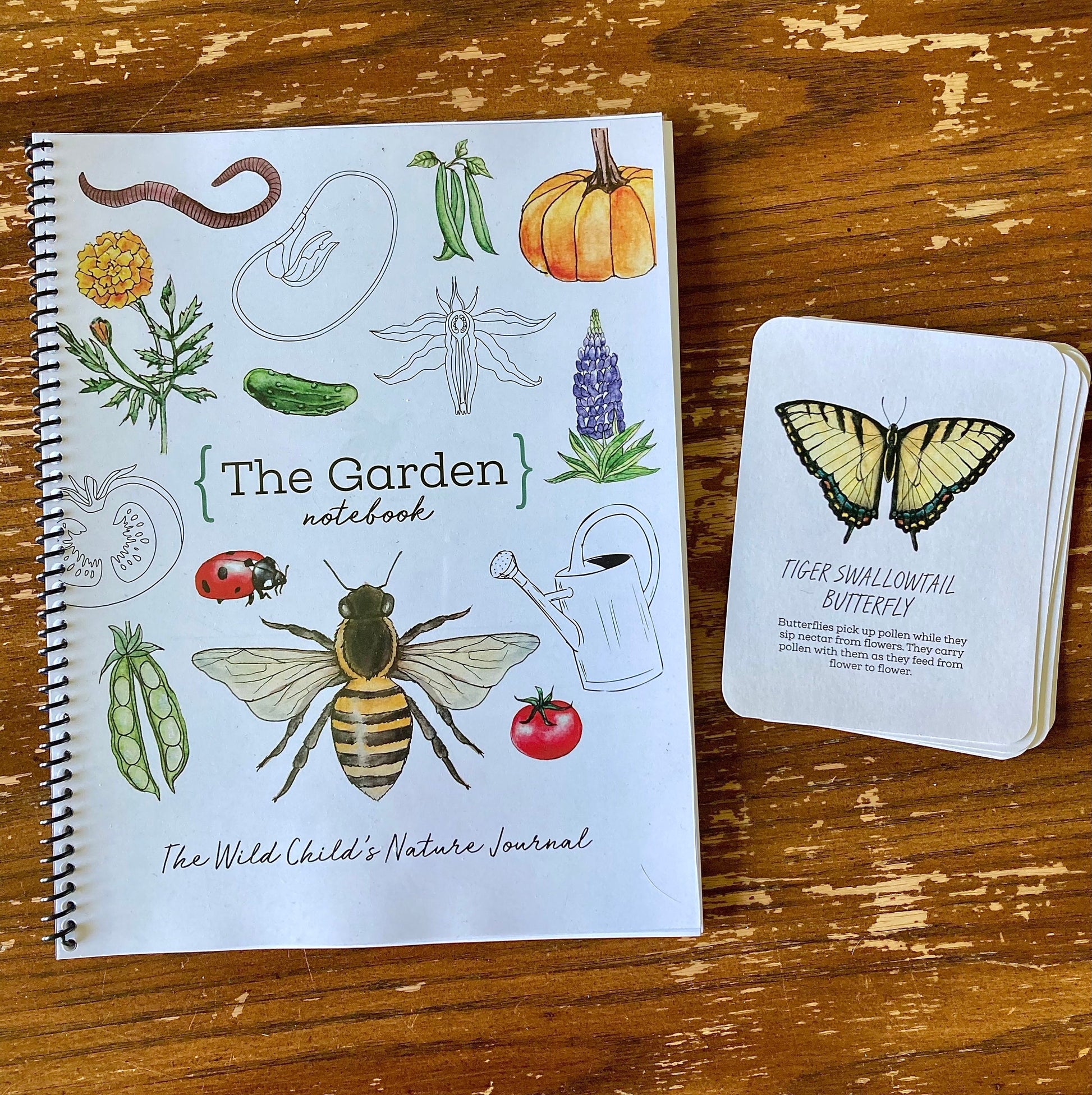 The GARDEN Notebook - Homeschool Printable Nature Study Charlotte Mason