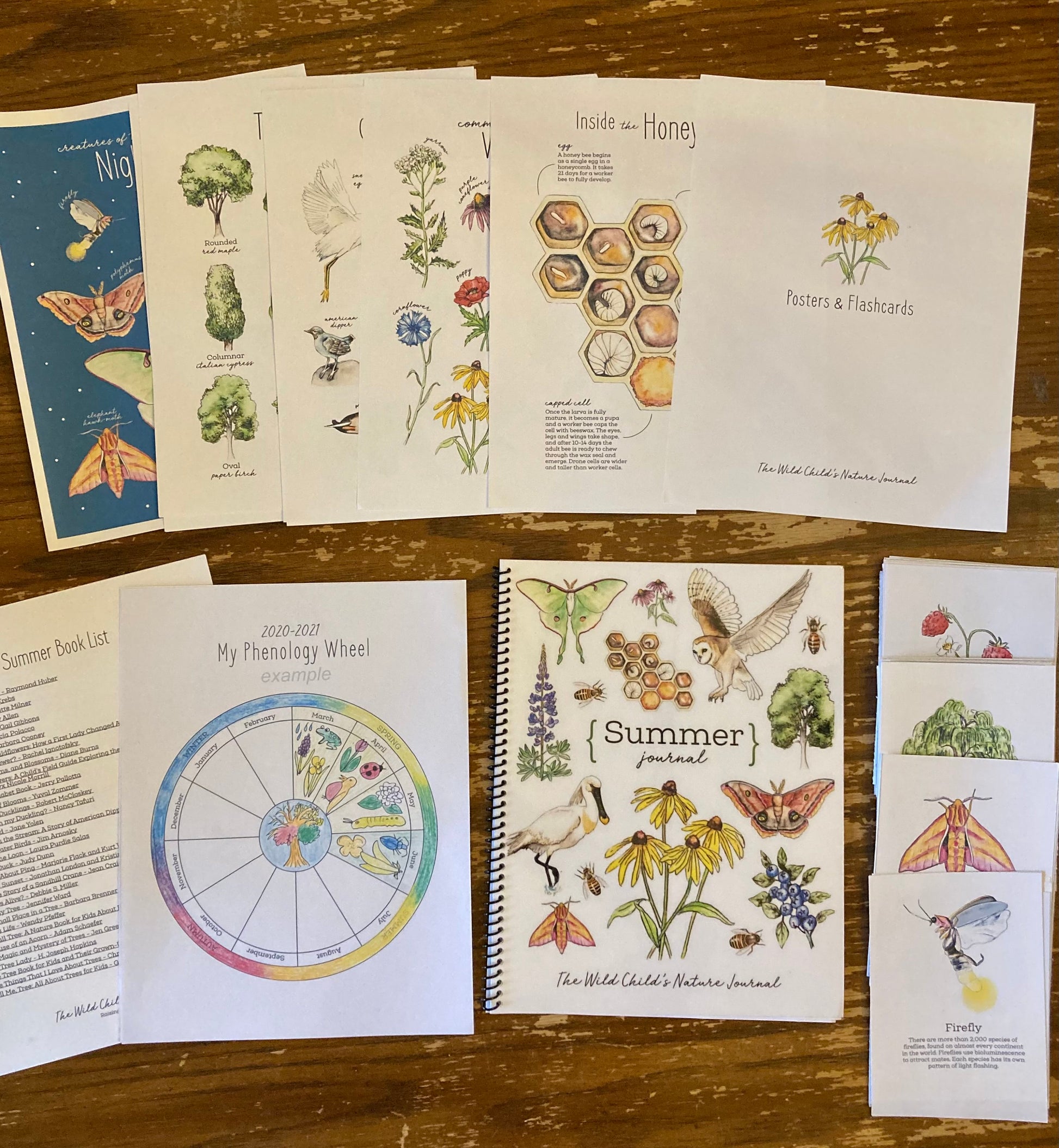 The Seasons – A Year of Nature Journaling - Charlotte Mason Homeschool Nature Printable