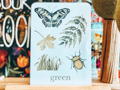 Colour Nature Flashcards, Nature Inspired,  Printable Colour Flashcards for Kids, Educational Printable Cards, Montessori Flashcards Dowload