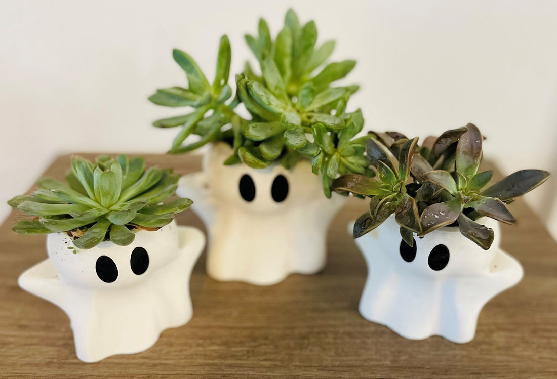 Spectral Serenity: 3D Printed Halloween Ghost Shaped Planter for Enchanting Succulents