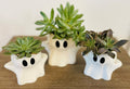 Spectral Serenity: 3D Printed Halloween Ghost Shaped Planter for Enchanting Succulents