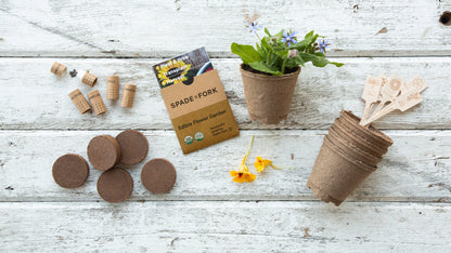 Indoor Edible Flower Garden Kit - Certified Organic Non GMO - Soil, Peat Pots, 5 Seeds Borage, Sunflower, Thai Basil, Dill, Nasturtium