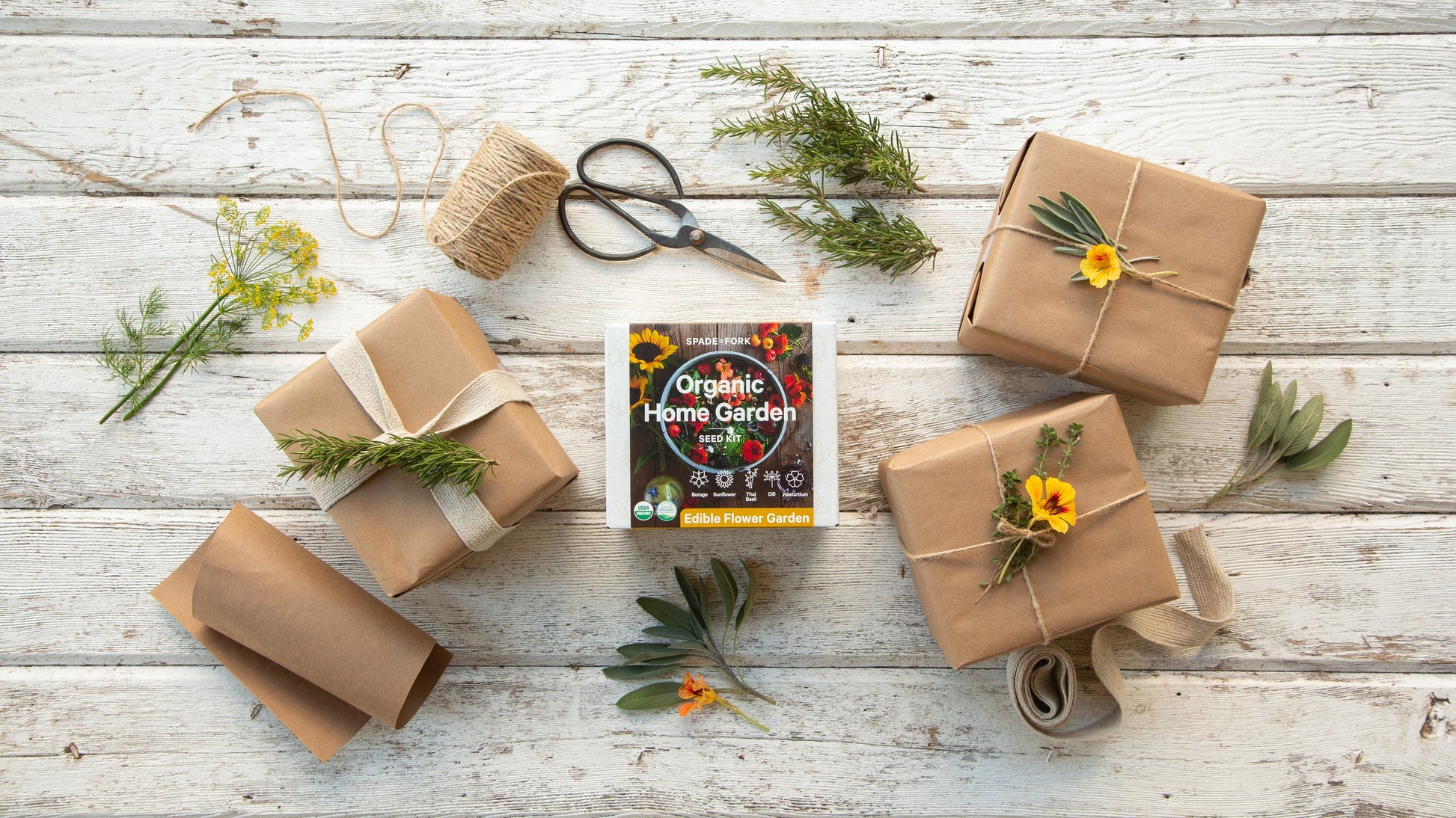Indoor Edible Flower Garden Kit - Certified Organic Non GMO - Soil, Peat Pots, 5 Seeds Borage, Sunflower, Thai Basil, Dill, Nasturtium