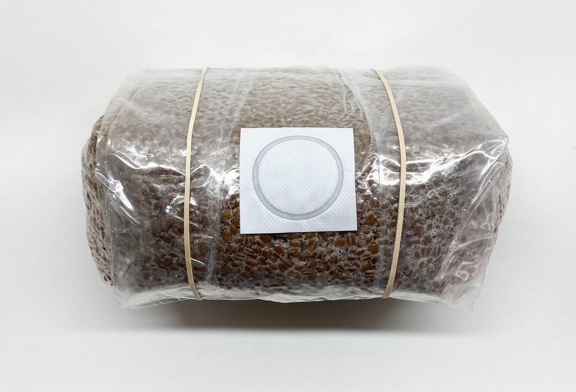 Organic Wheat Berries Mushroom Grain Spawn Substrate (5 lbs.)