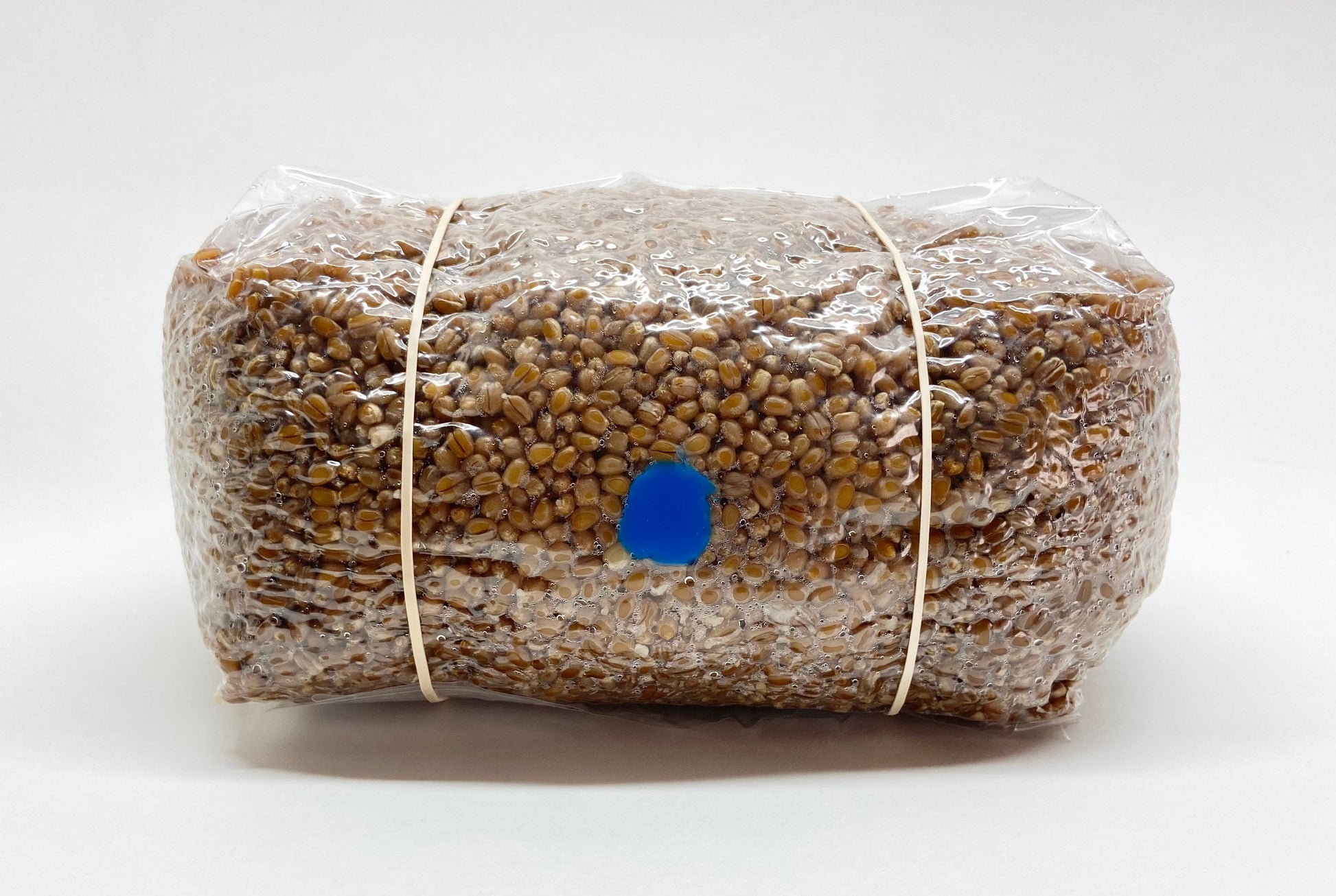 Organic Wheat Berries Mushroom Grain Spawn Substrate (5 lbs.)