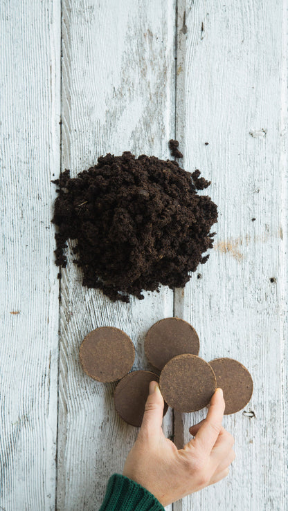 Indoor Edible Flower Garden Kit - Certified Organic Non GMO - Soil, Peat Pots, 5 Seeds Borage, Sunflower, Thai Basil, Dill, Nasturtium