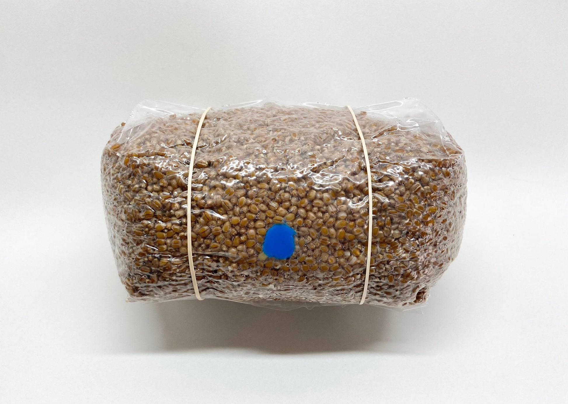Organic Wheat Berries Mushroom Grain Spawn Substrate (5 lbs.)