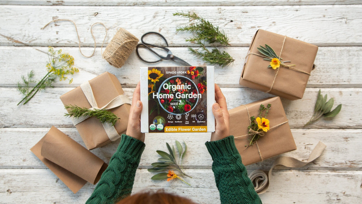 Indoor Edible Flower Garden Kit - Certified Organic Non GMO - Soil, Peat Pots, 5 Seeds Borage, Sunflower, Thai Basil, Dill, Nasturtium