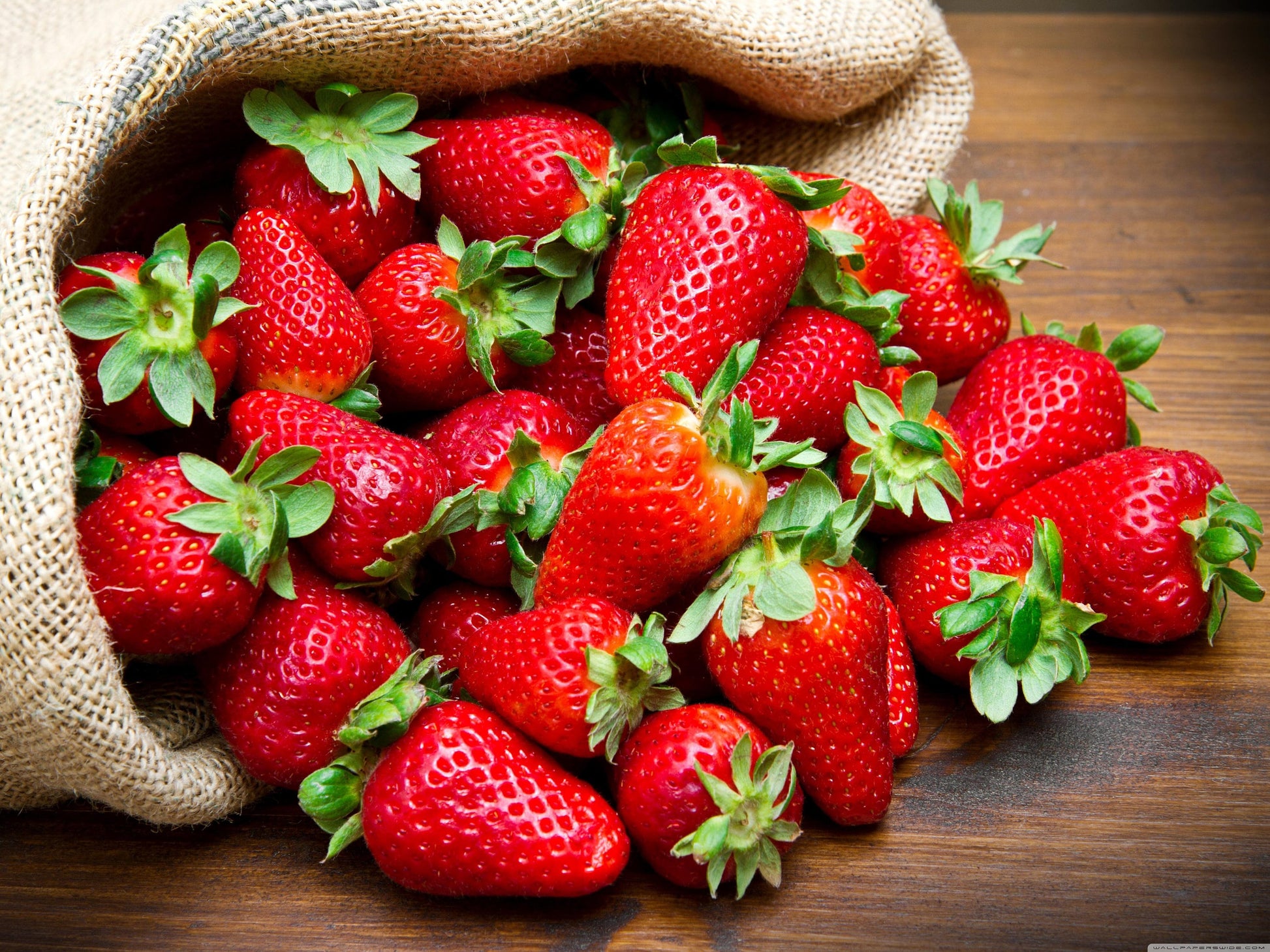 Strawberry Seeds Non-GMO, Open Pollinated, Heirloom for Hydroponics, Aquaponics, Soil, Raised Bed, Indoor, In Pots, & Green House, -1020