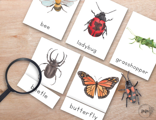 INSECT Nomenclature 3 Part Montessori Spring Flash Cards Printable PDF