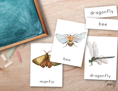 INSECT Nomenclature 3 Part Montessori Spring Flash Cards Printable PDF