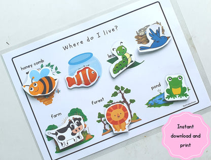 Toddler Busy Book activity, preschool curriculum Homeschool, Toddler learning binder, Busy Book Ideas,2 year old quiet book
