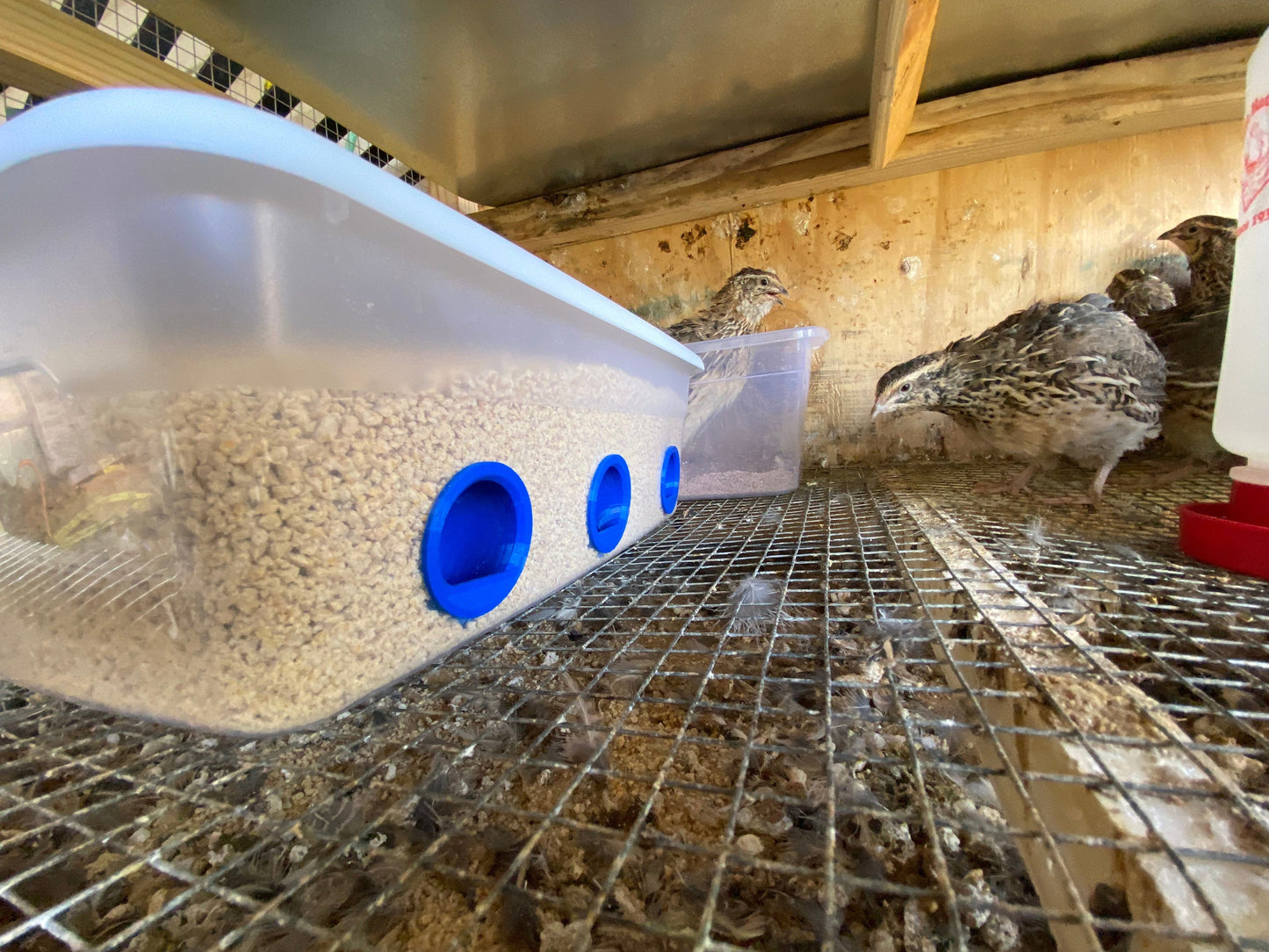 The Original Quail Feed Saver Port | Chicken Feed Saver Port | 3D Printed | Made in USA | No Waste Feed Ports | Saves you Money!