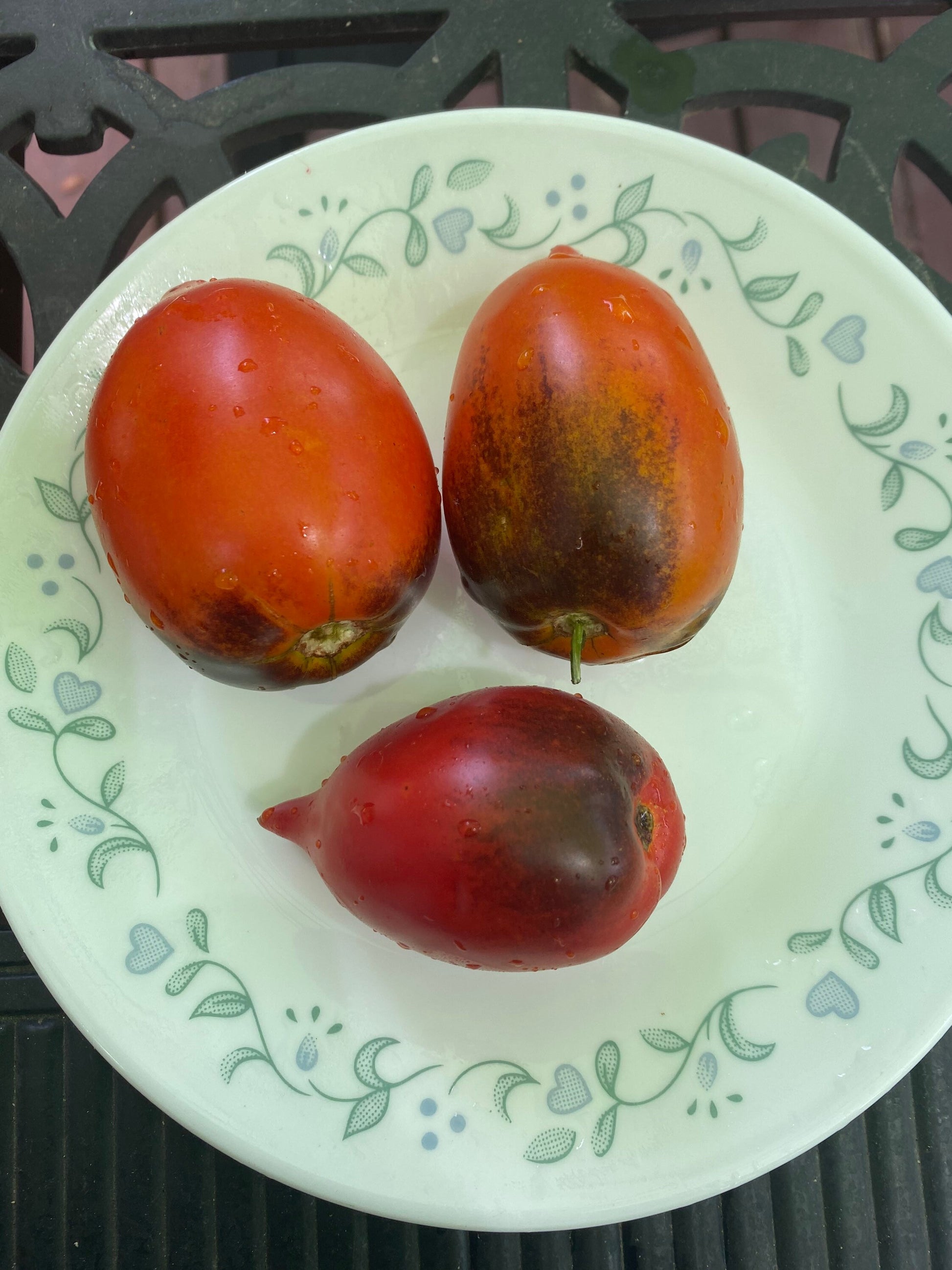 Pascal di Picardie tomato seeds