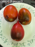 Pascal di Picardie tomato seeds