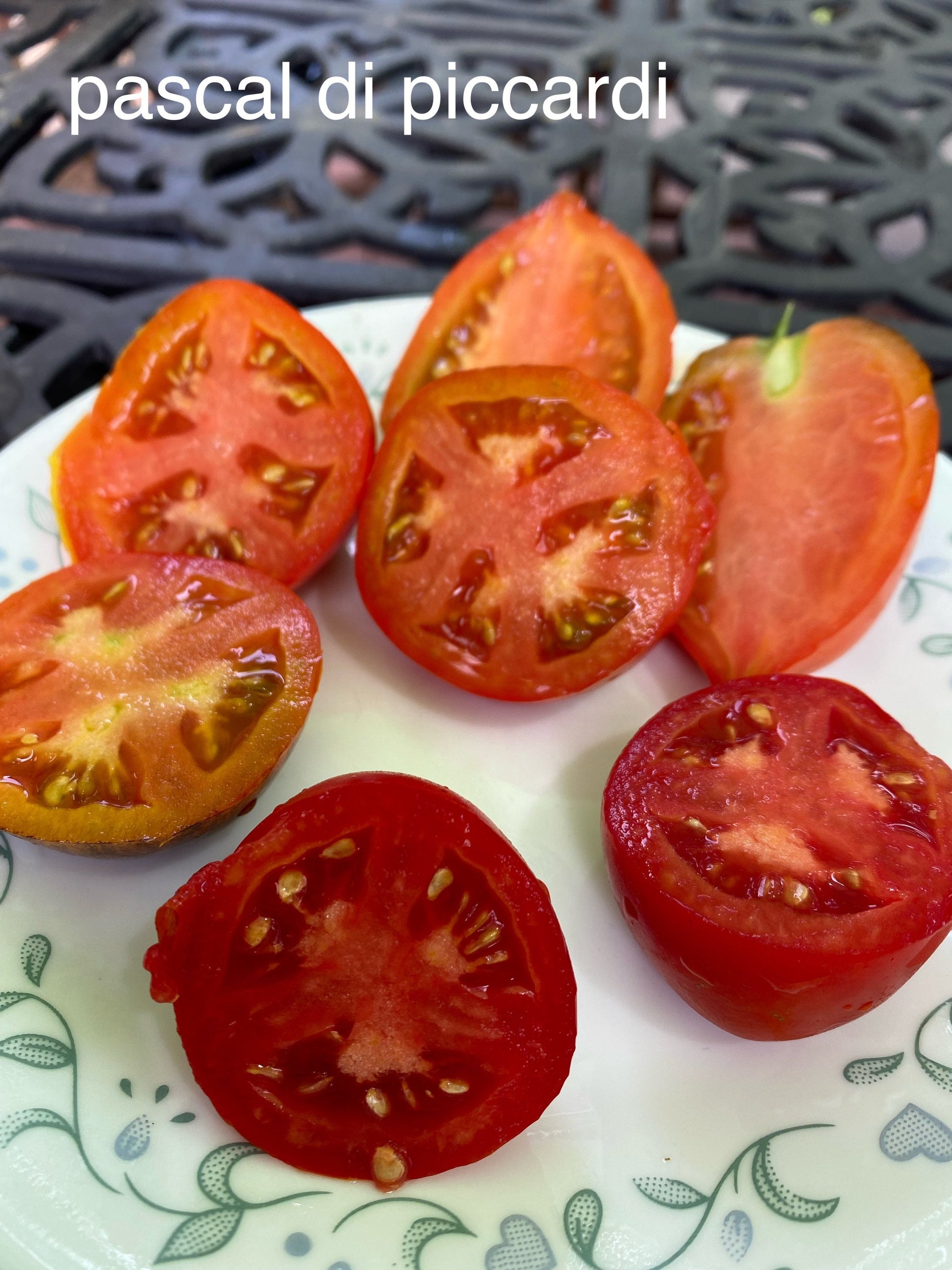 Pascal di Picardie tomato seeds