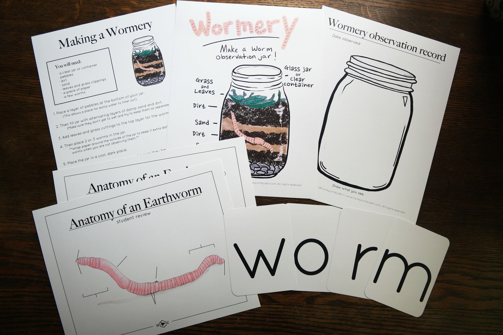 Anatomy of a Worm and Wormery activity with record | Charlotte Mason Nature Educational Printable