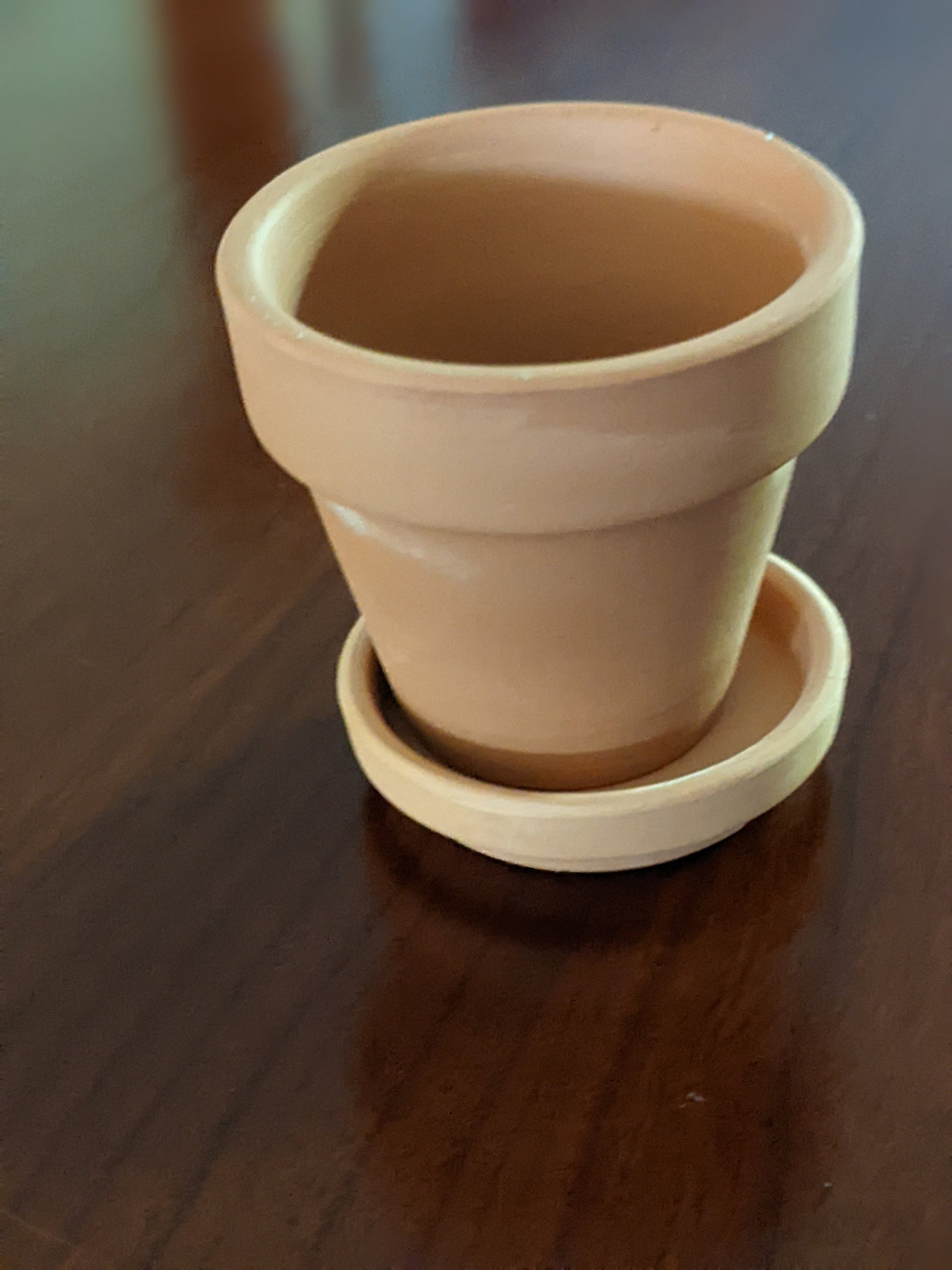 Terracotta 2" diameter pot with or without  saucer  Great for wedding favors, small succulents.