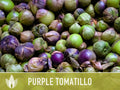 Tomatillo Purple Tomato Heirloom Seeds