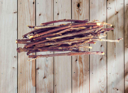 Black Cherry Tree Cuttings: Prunus Serotina Scions, Grafting