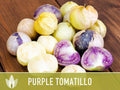 Tomatillo Purple Tomato Heirloom Seeds