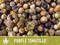 Tomatillo Purple Tomato Heirloom Seeds