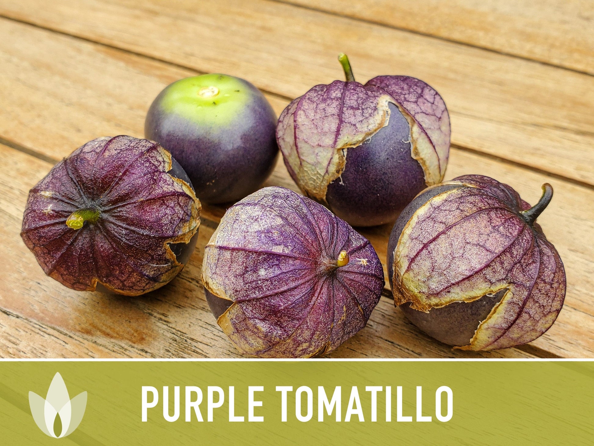 Tomatillo Purple Tomato Heirloom Seeds